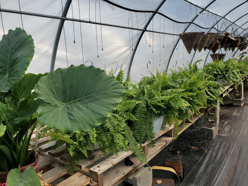 Garden Center «Beachside Gardens & Gifts», reviews and photos, 3725 US-12, Michigan City, IN 46360, USA