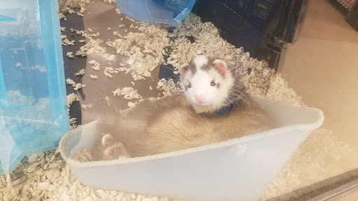 Pet Supply Store «Petco Animal Supplies», reviews and photos, 975 Savannah Hwy #137, Charleston, SC 29407, USA