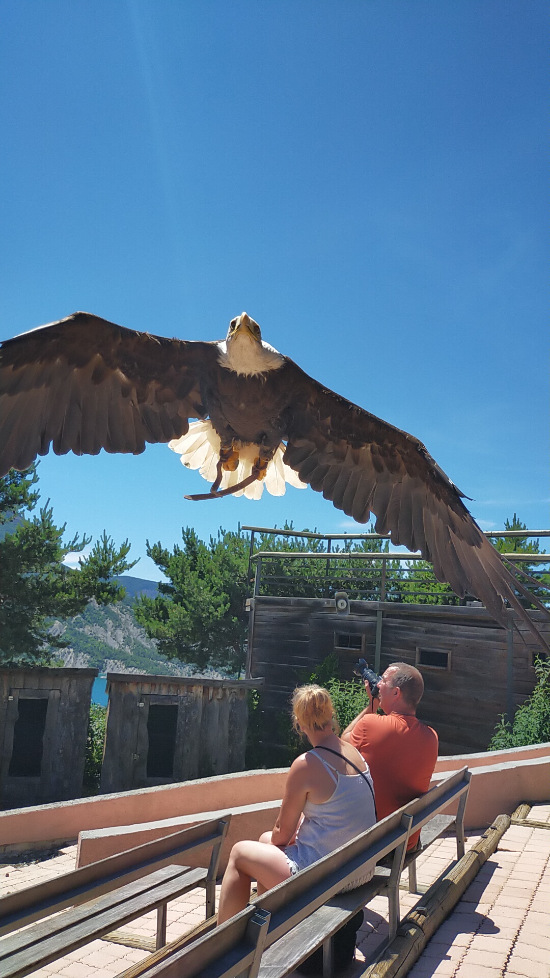 Photo n° 8 de l'avis de lincé.l fait le 29/06/2021 à 19:27