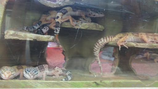 Pet Supply Store «Petco Animal Supplies», reviews and photos, 14051 Aldrich Ave S, Burnsville, MN 55337, USA