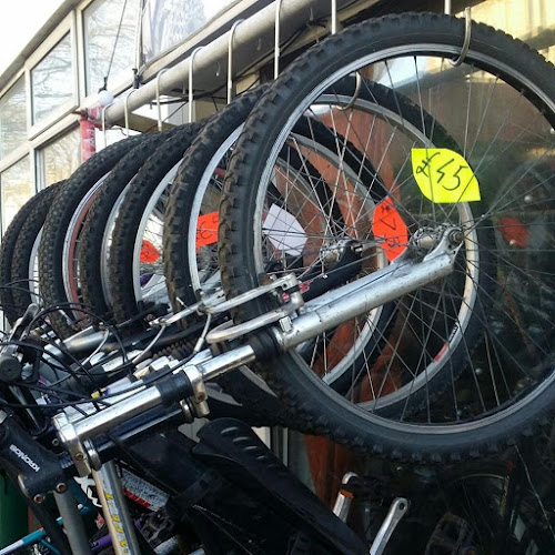 Reviews of Elm Grove Bikes Brighton in Brighton - Bicycle store