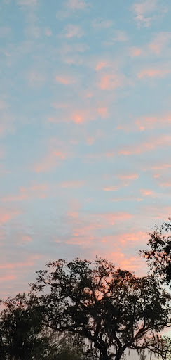 Golf Club «Summertree Golf Club», reviews and photos, 11816 Paradise Point Way, New Port Richey, FL 34654, USA