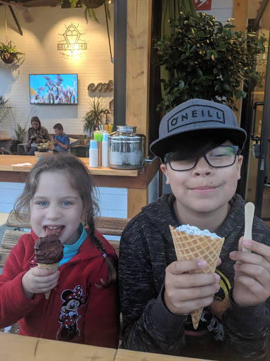 Gelato 101 encinitas image