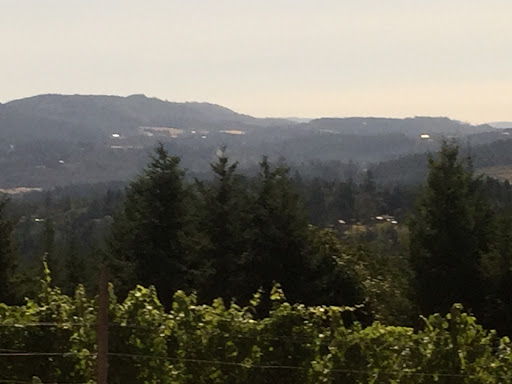 Winery «Kramer Vineyards», reviews and photos, 26830 NW Olson Rd, Gaston, OR 97119, USA