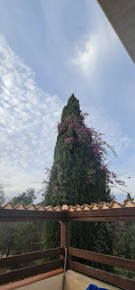 Les plus récentes Chambre d'hôtes Mas Lamon 66700 Argelès-sur-Mer