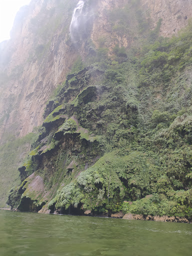 Cascada Del Arbol De Navidad