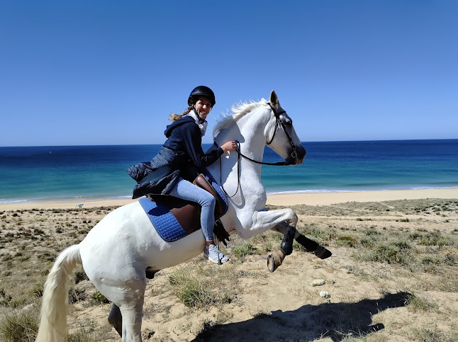 Falesia - Horse Riding Albufeira - Pombal