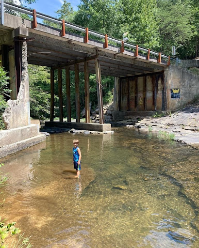 Nature Preserve «Little River Canyon National Preserve», reviews and photos, 4322 Little River Trail NE, Fort Payne, AL 35984, USA