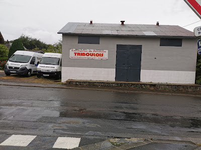 Triboulois Peinture à Flers
