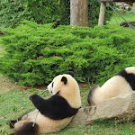 Photo n° 11 de l'avis de Marie.h fait le 15/09/2023 à 10:59 pour ZooParc de Beauval Entrée Nord à Saint-Aignan