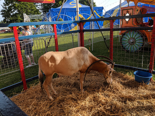 Fairground «Conservatory at the Sussex County Fairgrounds», reviews and photos, 37 Plains Rd, Augusta, NJ 07822, USA