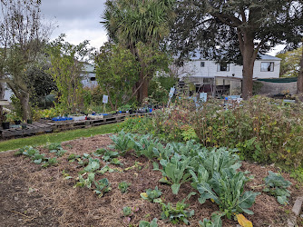 Christchurch South Community Gardens