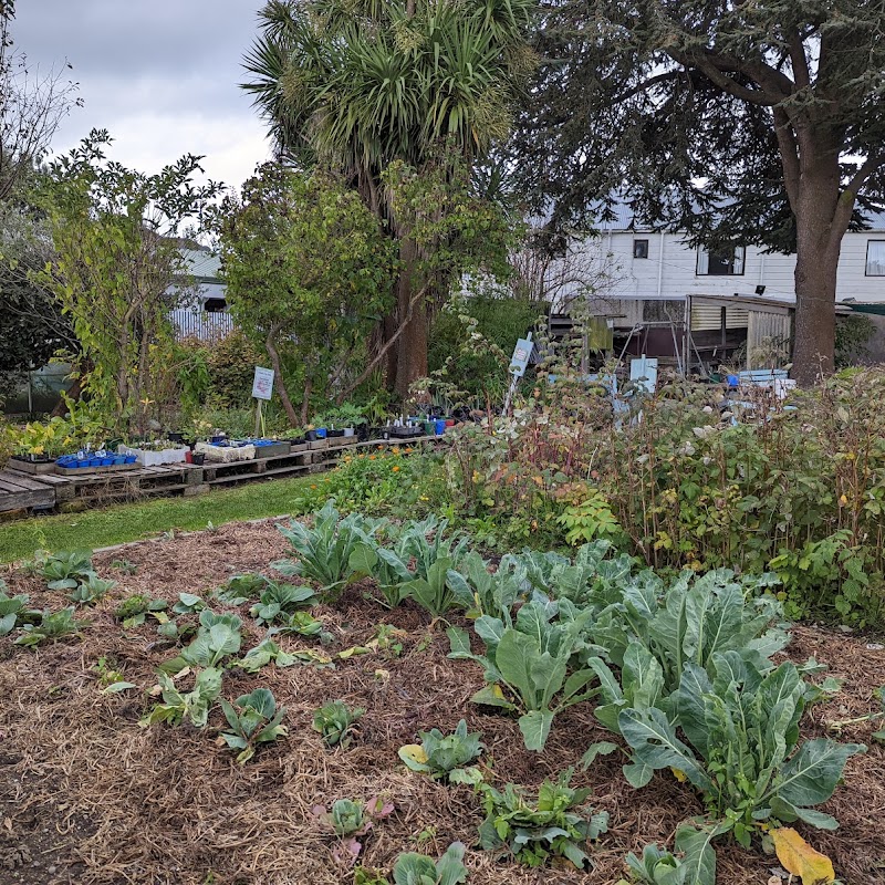 Christchurch South Community Gardens