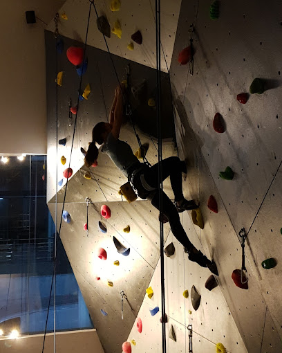 HangOut Climbing Gym (The Palazzia)