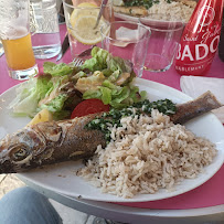 Plats et boissons du Restaurant Café de la Paix à Saint-Martin-de-Ré - n°15