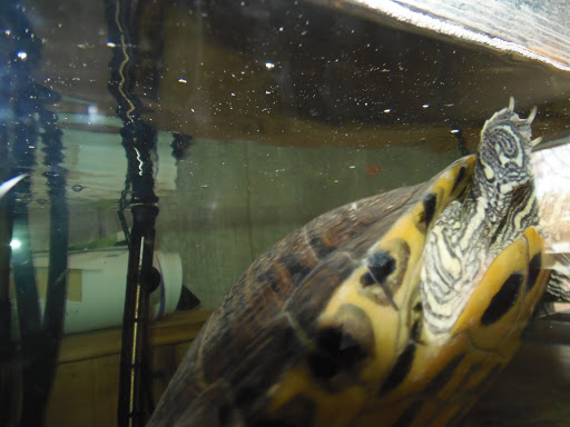 Nature Preserve «Cool Spring Preserve», reviews and photos, 1469 Lloyd Rd, Charles Town, WV 25414, USA