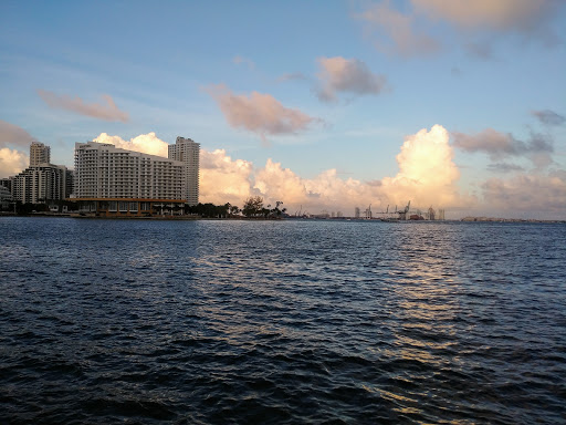 Movie Theater «AMC Sunset Place 24», reviews and photos, 5701 Sunset Dr #300, South Miami, FL 33143, USA