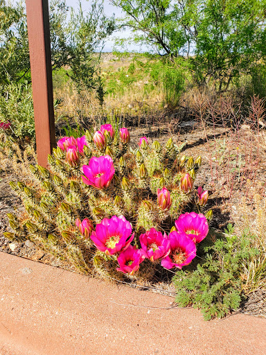 National Park «Tuzigoot National Monument», reviews and photos, 25 Tuzigoot Rd, Clarkdale, AZ 86324, USA