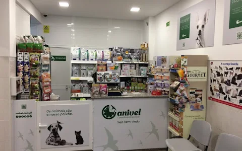 Anivet - Consultório Veterinário image