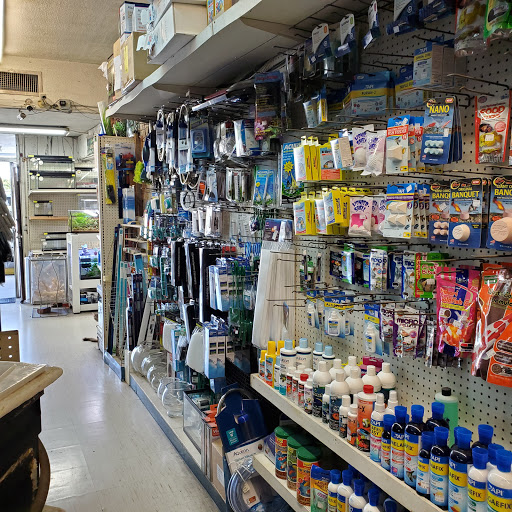 Pet Store «Pet Town», reviews and photos, 7804 Florence Ave, Downey, CA 90240, USA