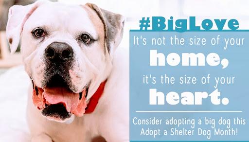 Milwaukee Walk In Vet Clinic image