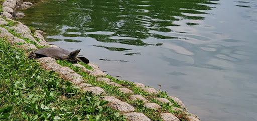 Florist «Friedhoff Florist & Greenhouse», reviews and photos, 700 Anderson Ferry Rd, Cincinnati, OH 45238, USA