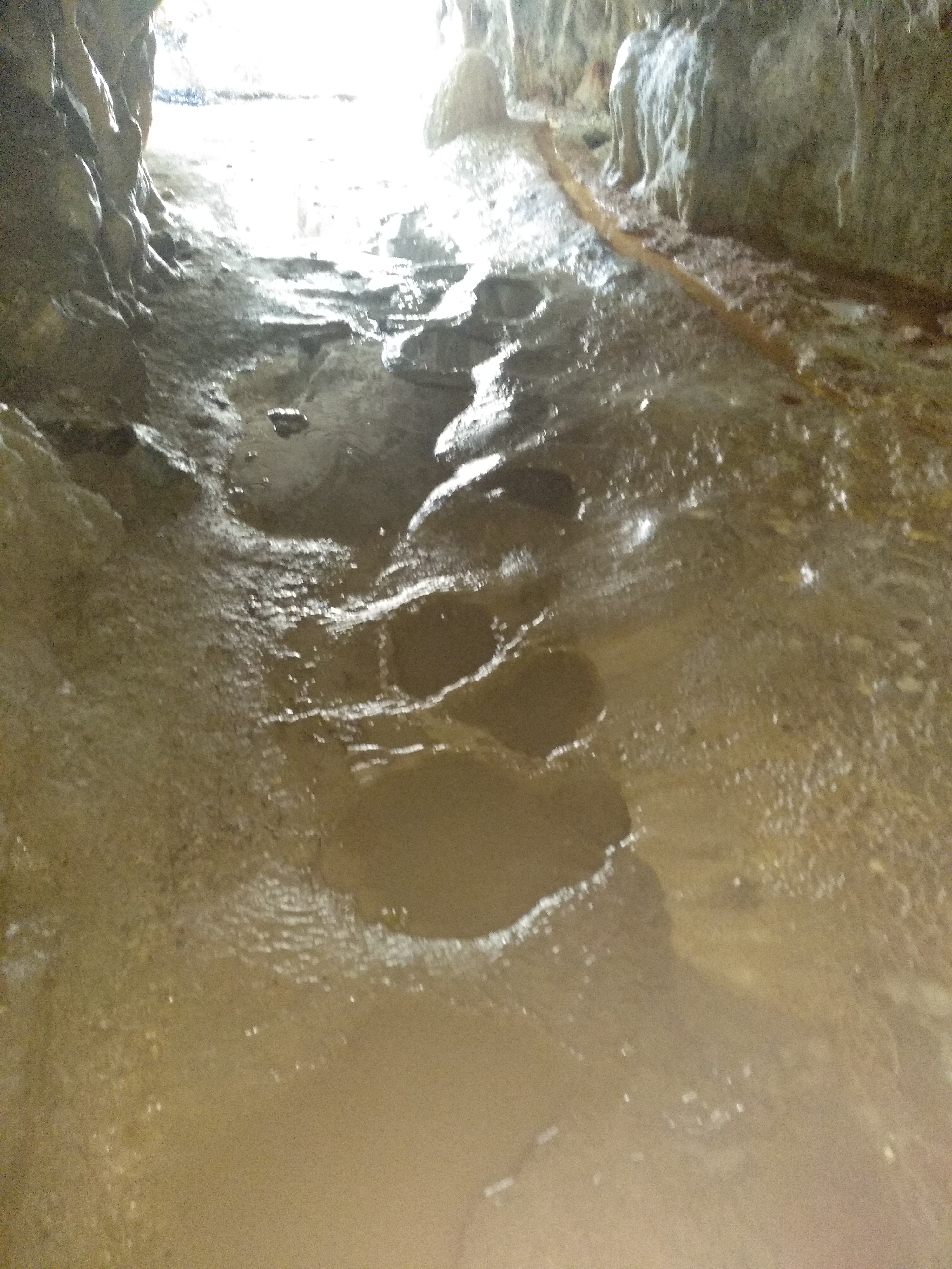 Photo n° 8 de l'avis de Maud.a fait le 21/08/2019 à 14:24