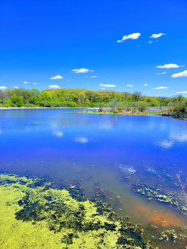 Nature Preserve «Volo Bog», reviews and photos, 28478 W Brandenburg Rd, Ingleside, IL 60041, USA