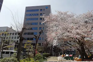 Minamimisake Park image