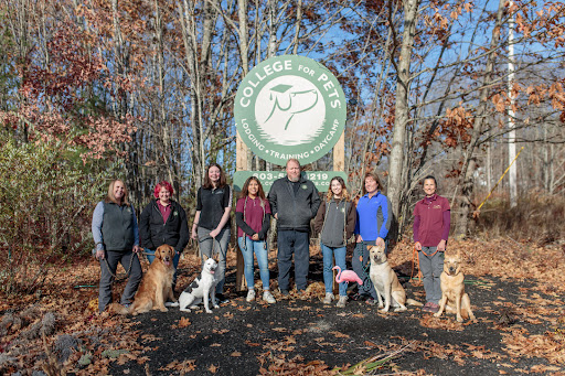 White Mountain College for Pets