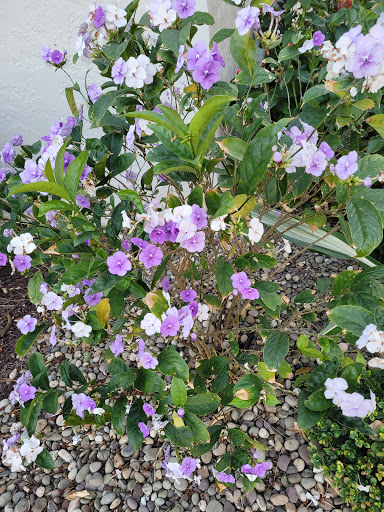 Golf Club «Old Marsh Golf Club», reviews and photos, 7500 Old Marsh Rd, Palm Beach Gardens, FL 33418, USA