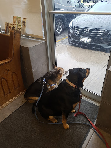The Rapids Veterinary Hospital image