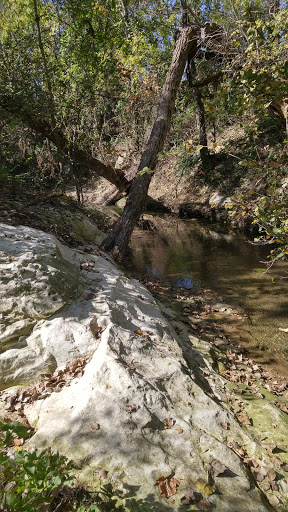 Recreation Center «Joe Farmer Recreation Center», reviews and photos, 1201 E Bethany Dr, Allen, TX 75002, USA