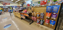 Petco - Photo 3 - Car repair in Halethorpe, MD, Baltimore