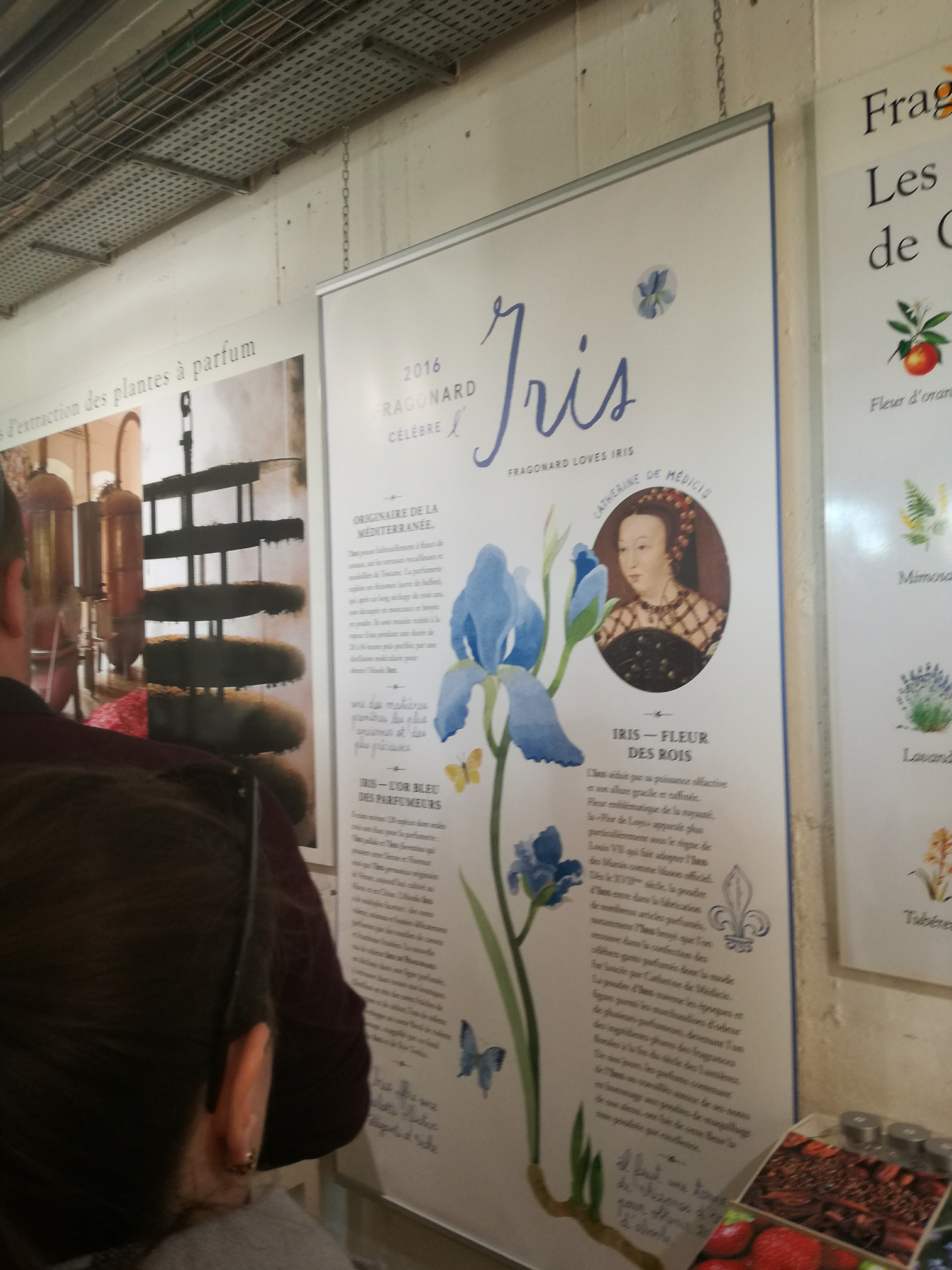 Photo n° 6 de l'avis de Aleksandra.t fait le 08/02/2017 à 16:42