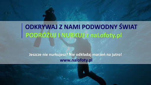 Dive & Travel Center naLofoty.pl - Nurkowanie i freediving Warszawa