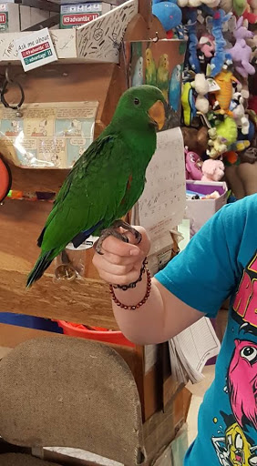 Pet Store «Liberty Agway Pet Center», reviews and photos, 11 Bon Jovi Ln, Liberty, NY 12754, USA