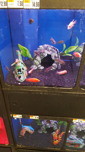 Pet Supply Store «Pet Supplies Plus», reviews and photos, 5161 Gull Rd, Kalamazoo, MI 49048, USA