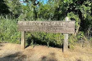 Big Brook Nature Preserve image