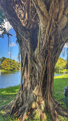 Park «Plantation Heritage Park», reviews and photos, 1100 S Fig Tree Ln, Plantation, FL 33317, USA