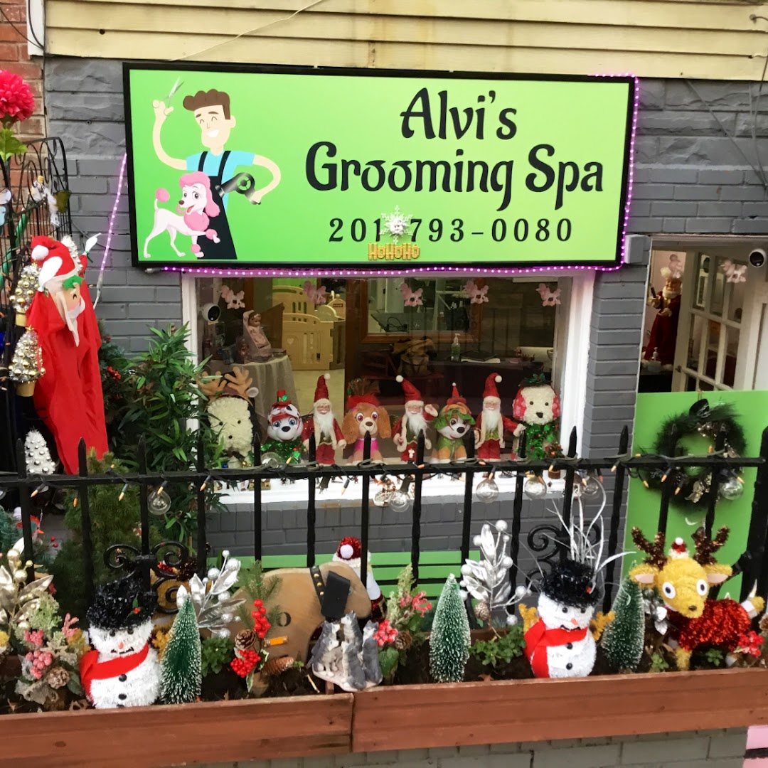 Alvi’s Grooming spa