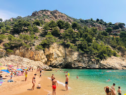 Photo de Plage de Cala Pola situé dans une zone naturelle