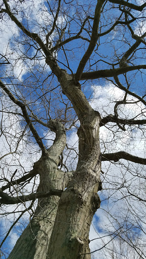 Historical Place «Weir Farm National Historic Site», reviews and photos, 735 Nod Hill Rd, Wilton, CT 06897, USA