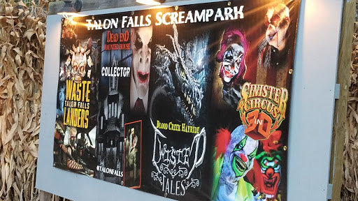 Theme Park «Talon Falls», reviews and photos, 2932 KY-849, Melber, KY 42069, USA