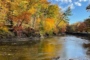 North Mastic Picnic Area, Rocky River Reservation image