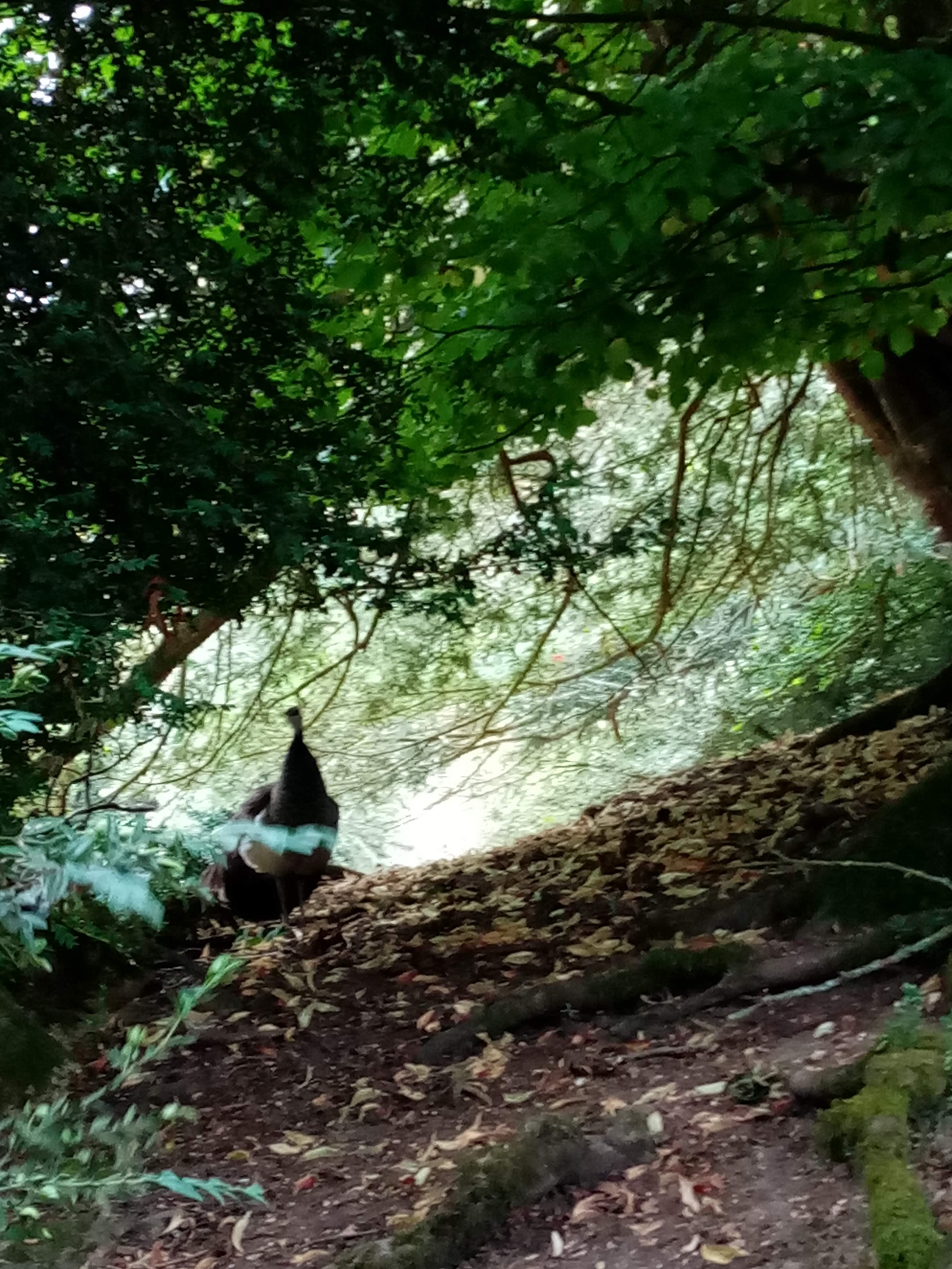 Photo n° 15 de l'avis de Marielaure.a fait le 25/07/2023 à 19:08