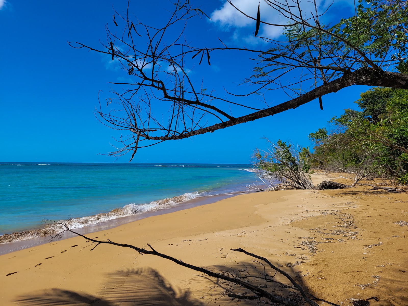 Photo of Playa Fajardo with bright sand surface