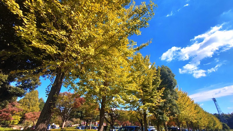 上尾丸山公園 駐車場