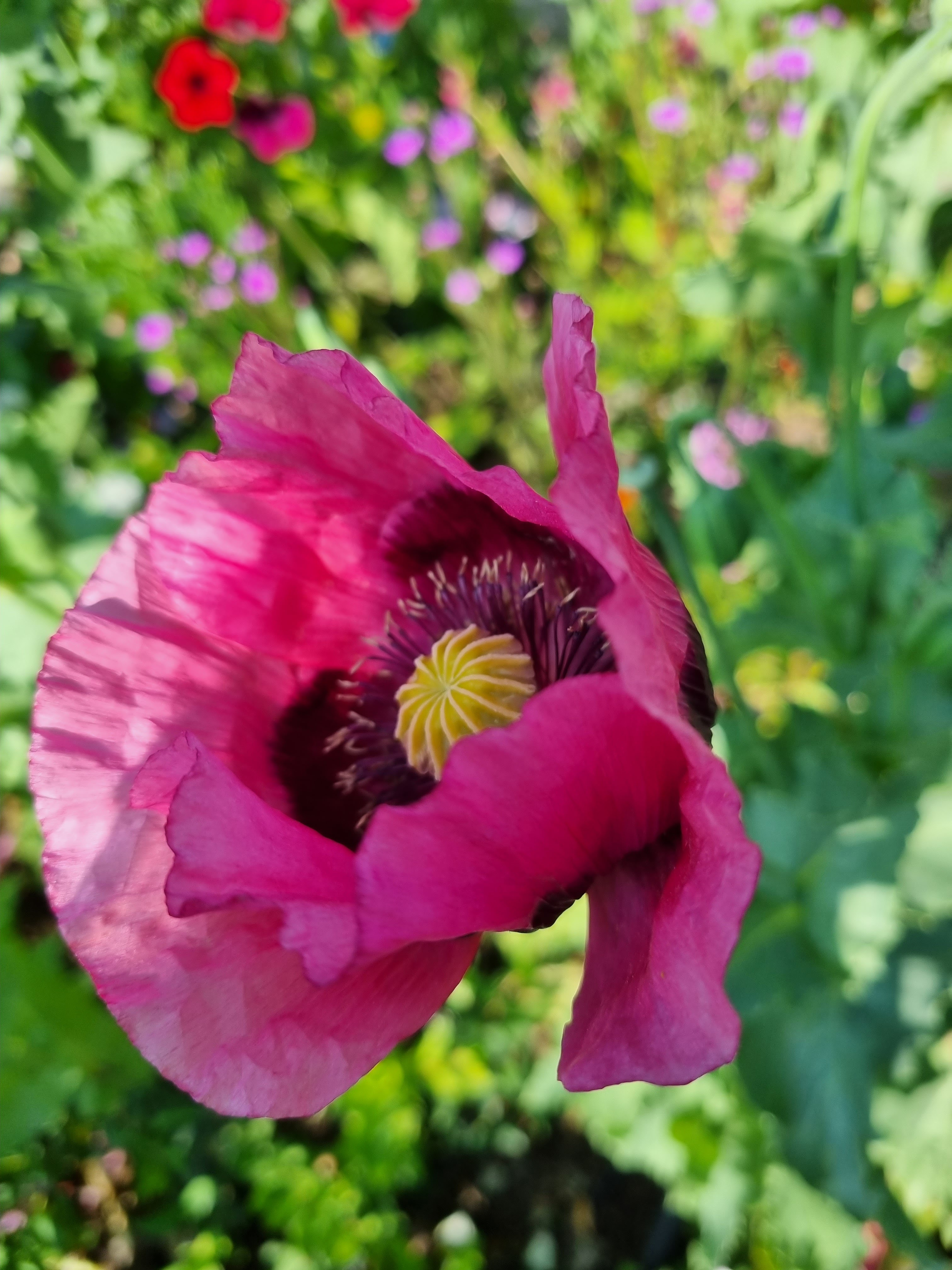 Photo n° 4 de l'avis de Sabine.o fait le 13/06/2023 à 19:16