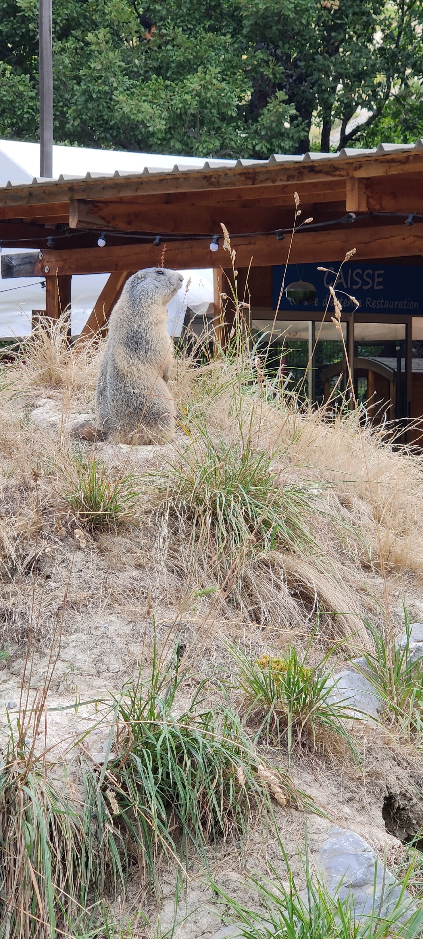 Photo n° 3 de l'avis de Carole. fait le 25/08/2021 à 16:01